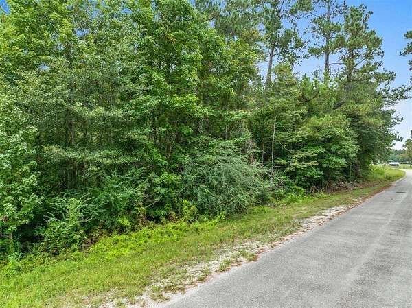 30 Acres of Recreational & Residential Land for Sale in Singer, Louisiana