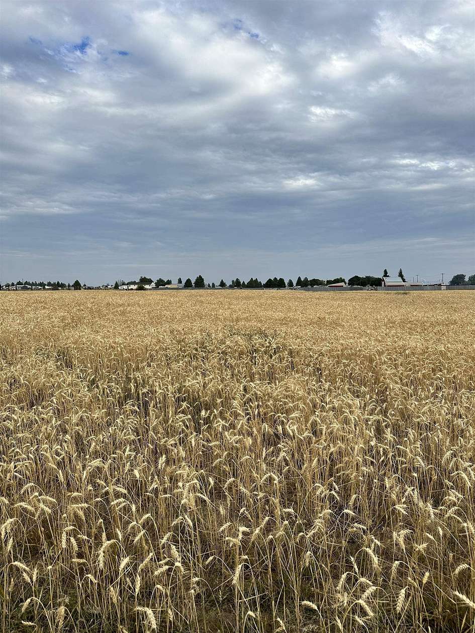 Mixed-Use Land for Sale in Medical Lake, Washington