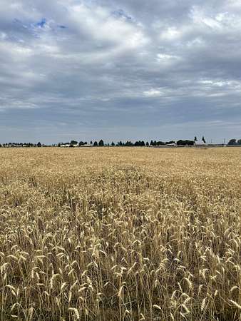 Mixed-Use Land for Sale in Medical Lake, Washington