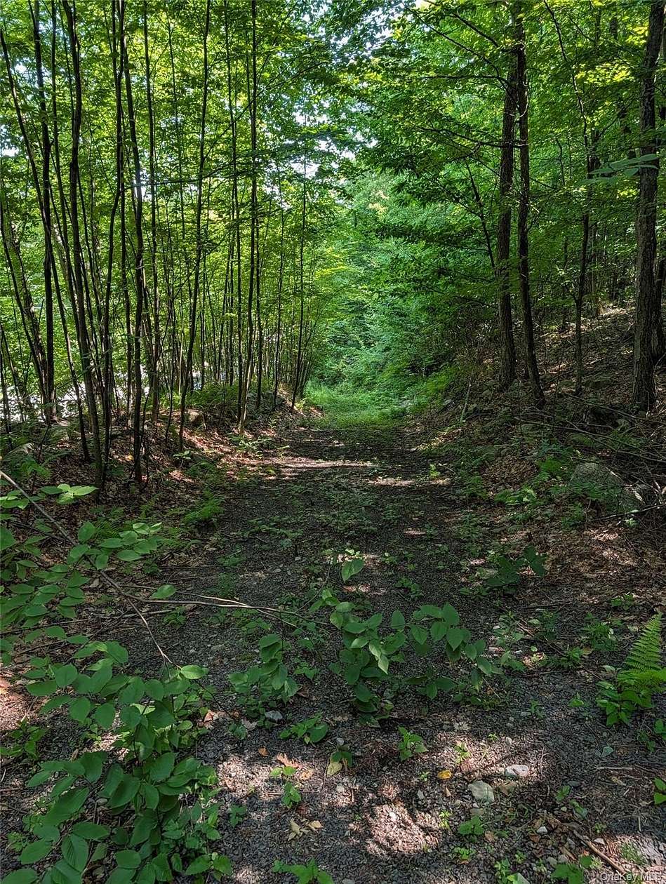 4.3 Acres of Residential Land for Sale in Port Jervis, New York