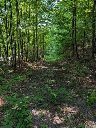 4.3 Acres of Residential Land for Sale in Port Jervis, New York