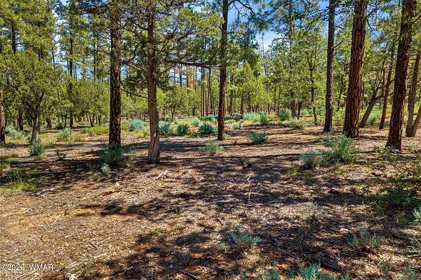 1 Acre of Residential Land for Sale in Lakeside, Arizona