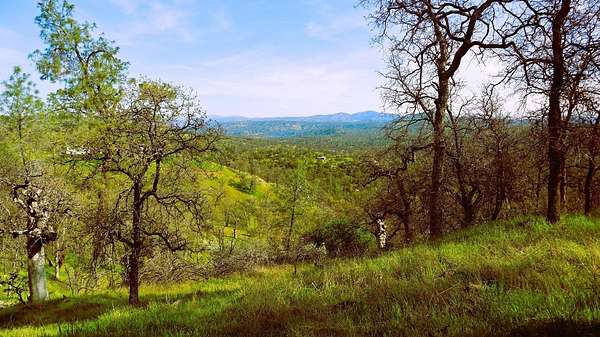 7 Acres of Residential Land for Sale in Coarsegold, California