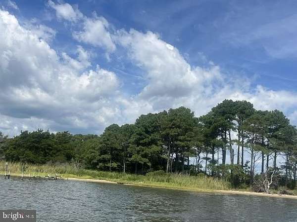 35 Acres of Recreational Land for Sale in Bishopville, Maryland