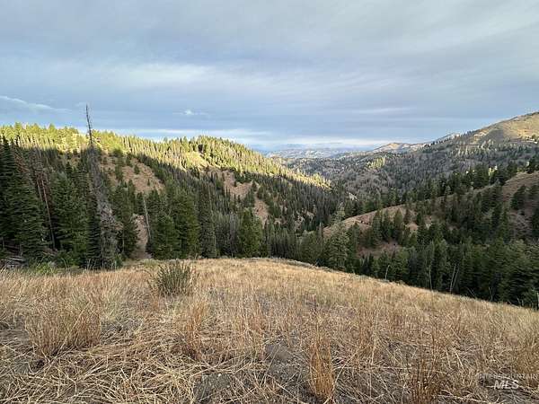 192 Acres of Recreational Land for Sale in Fairfield, Idaho