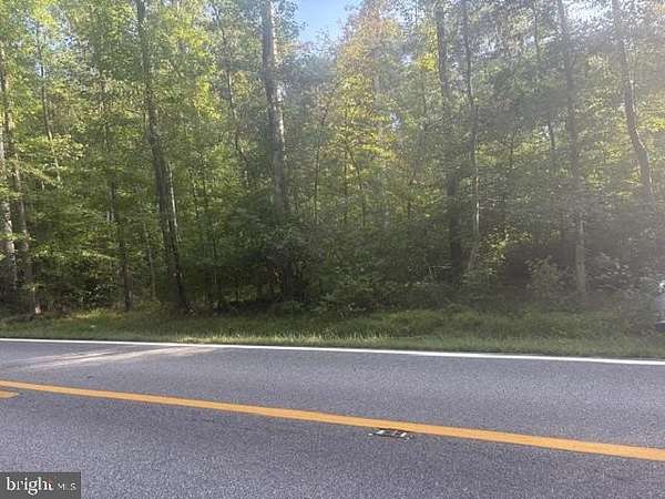 11.9 Acres of Land for Sale in Townsend, Delaware