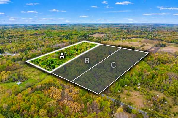 10 Acres of Recreational Land for Sale in Grand Junction, Michigan
