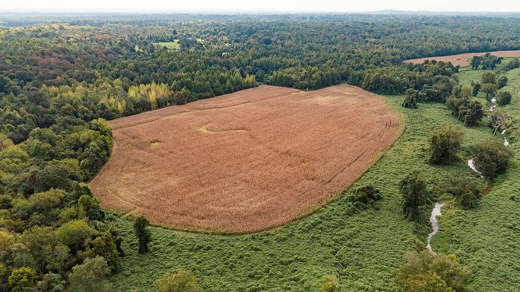 591 Acres of Recreational Land for Sale in Lamar, Mississippi