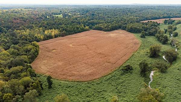 591 Acres of Recreational Land for Sale in Lamar, Mississippi