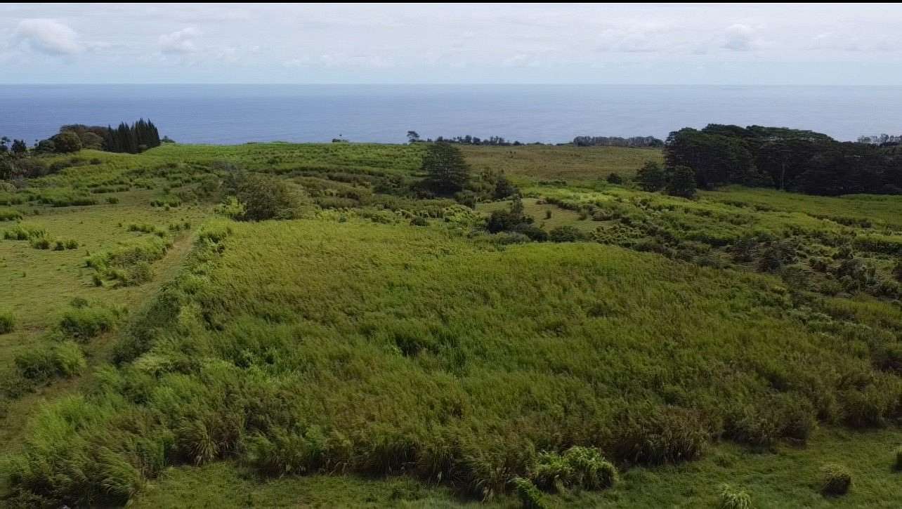 33.5 Acres of Land for Sale in Hakalau, Hawaii