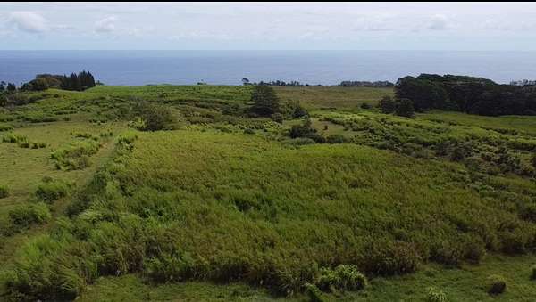 33.5 Acres of Land for Sale in Hakalau, Hawaii