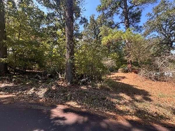 0.18 Acres of Land for Sale in Shelbyville, Texas