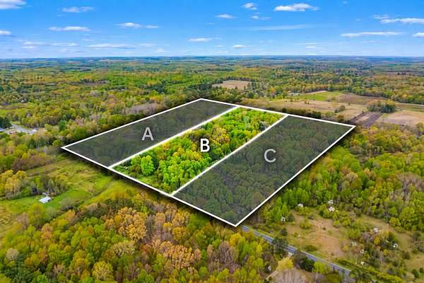 10 Acres of Recreational Land for Sale in Grand Junction, Michigan