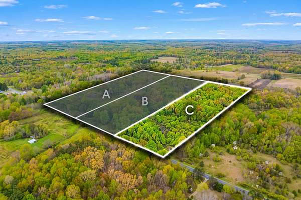 10 Acres of Recreational Land for Sale in Grand Junction, Michigan