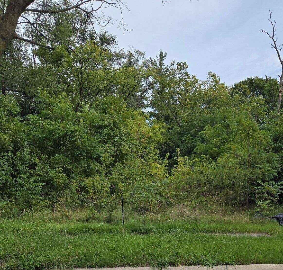 0.15 Acres of Residential Land for Sale in Saginaw, Michigan