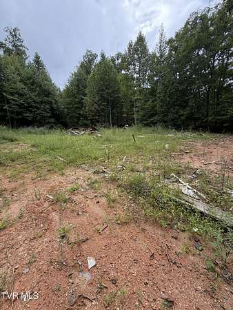 20 Acres of Recreational & Residential Land for Sale in Cosby, Tennessee