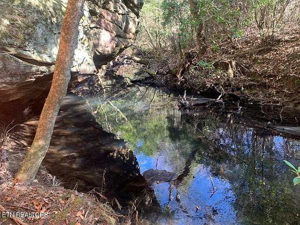 15 Acres of Land for Sale in Spencer, Tennessee
