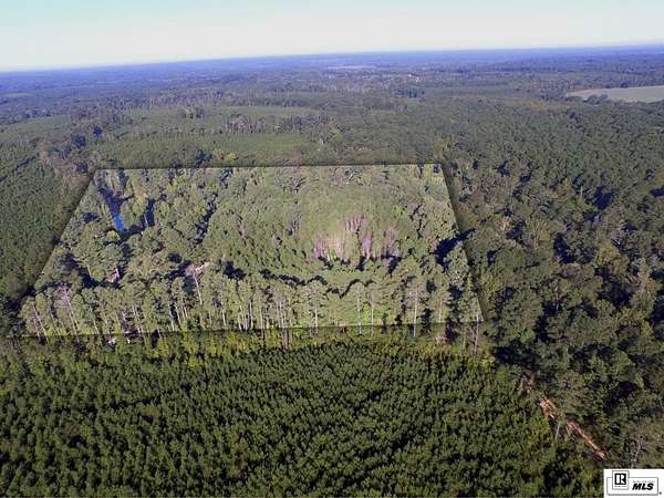 18.7 Acres of Recreational Land for Sale in Spearsville, Louisiana