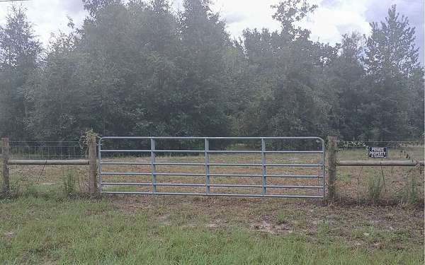 10 Acres of Land for Sale in Live Oak, Florida