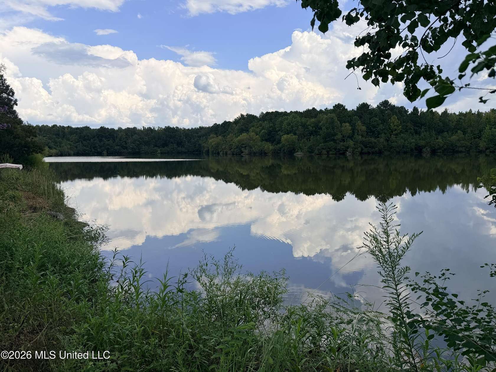 90 Acres of Recreational & Residential Land for Sale in Pearl, Mississippi