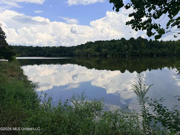 90 Acres of Recreational & Residential Land for Sale in Pearl, Mississippi