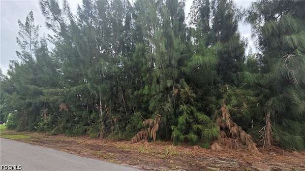 0.23 Acres of Residential Land for Sale in Cape Coral, Florida