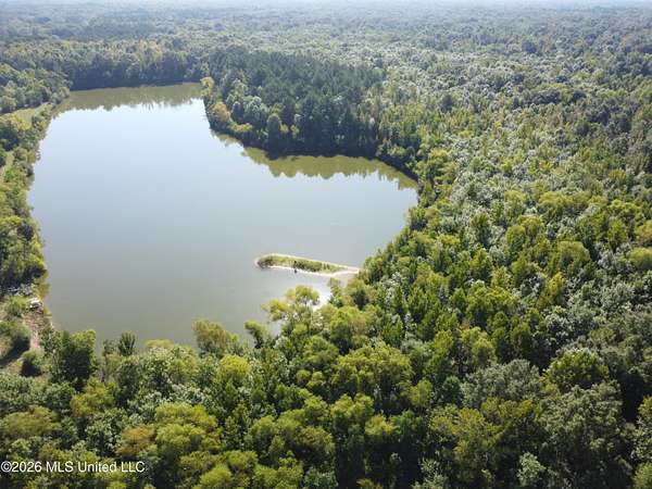 30 Acres of Recreational & Residential Land for Sale in Pearl, Mississippi