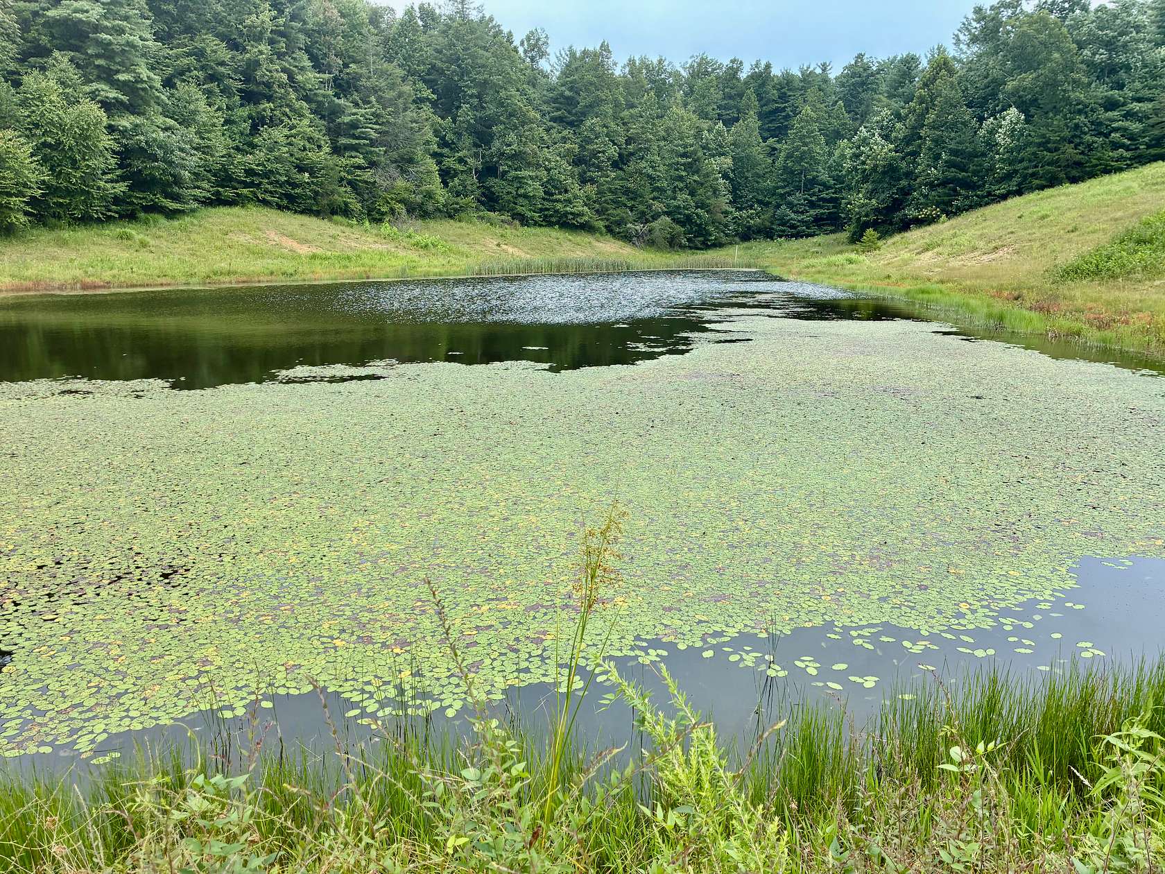 8.16 Acres of Land for Sale in Campton, Kentucky