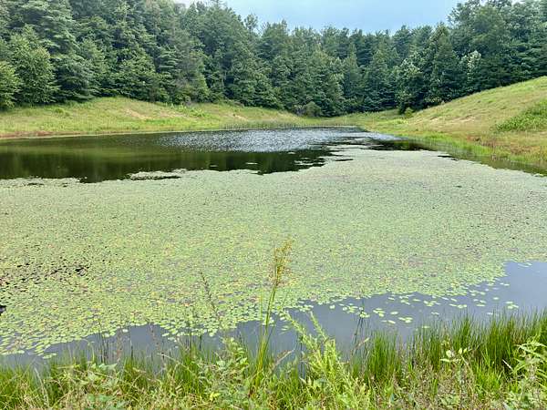 8.16 Acres of Land for Sale in Campton, Kentucky