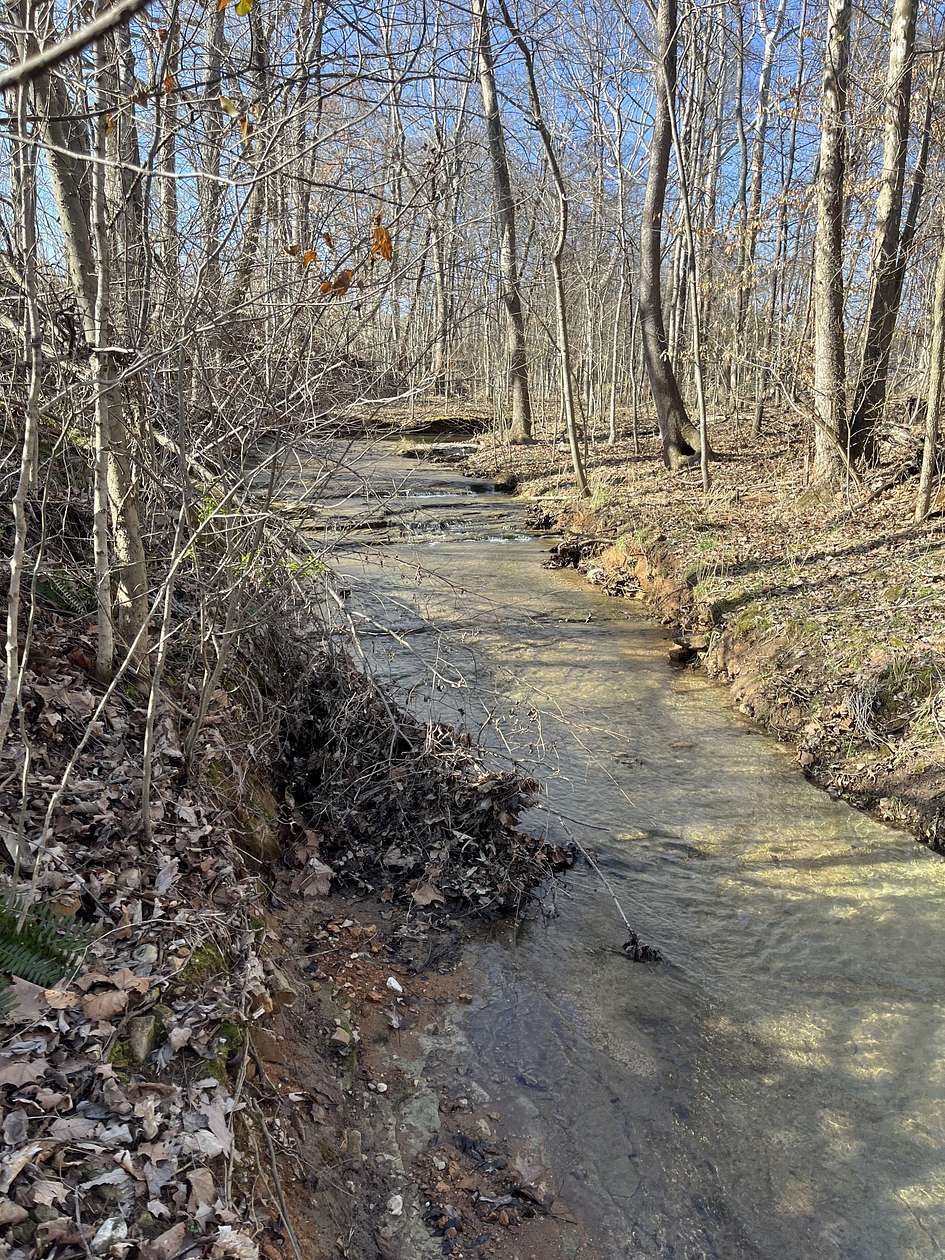 1.5 Acres of Residential Land for Sale in Woodlawn, Tennessee