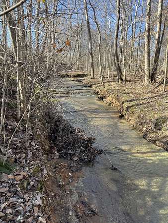 1.5 Acres of Residential Land for Sale in Woodlawn, Tennessee