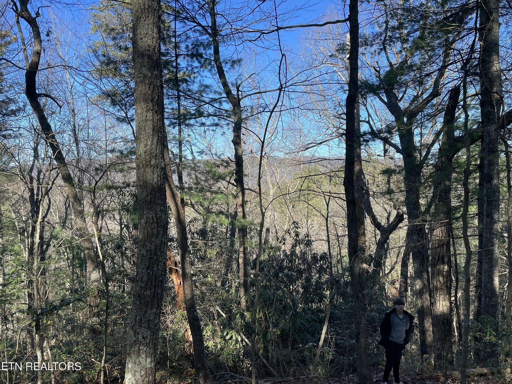 5.64 Acres of Residential Land for Sale in Walland, Tennessee