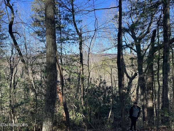 5.64 Acres of Residential Land for Sale in Walland, Tennessee