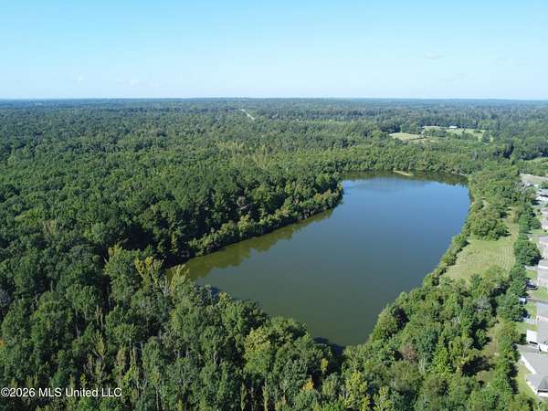 30 Acres of Recreational & Residential Land for Sale in Pearl, Mississippi