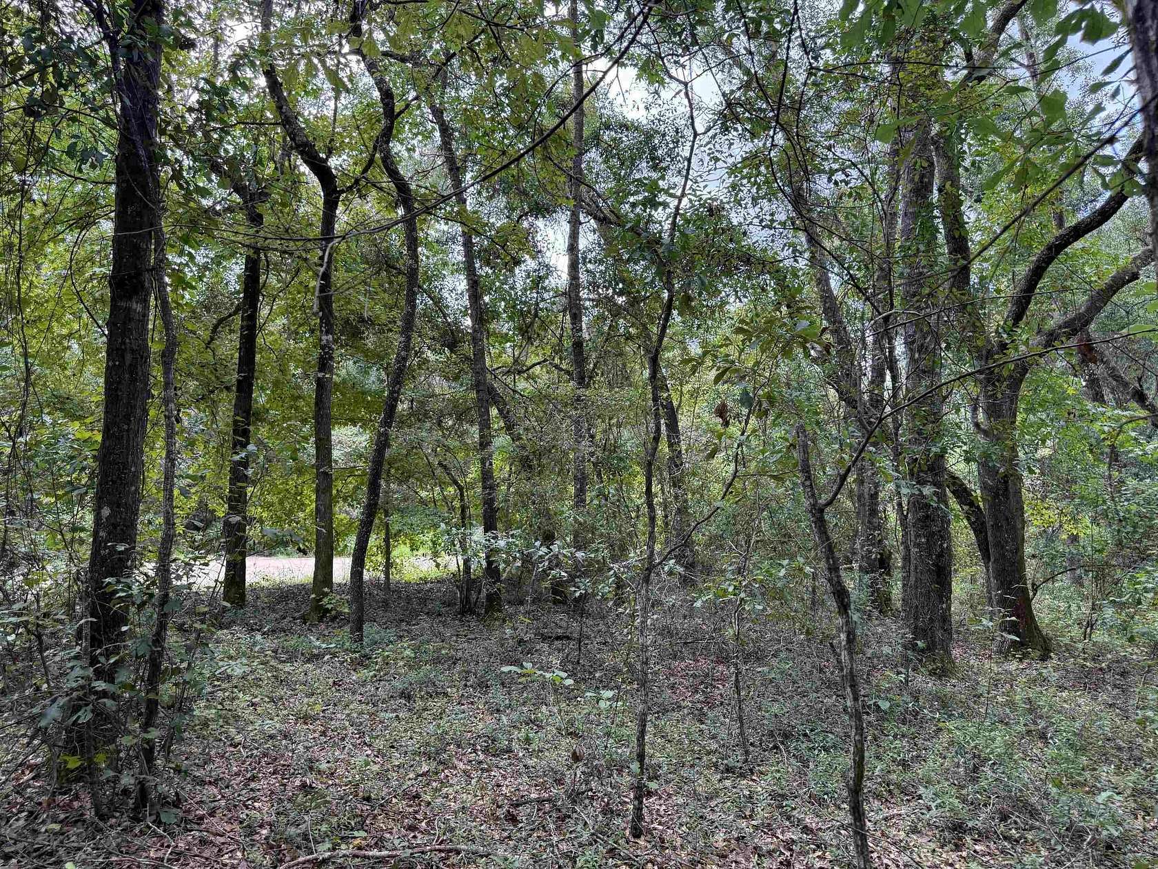 5 Acres of Residential Land for Sale in Greenville, Florida