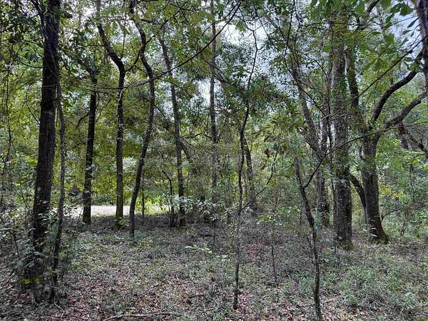 5 Acres of Residential Land for Sale in Greenville, Florida