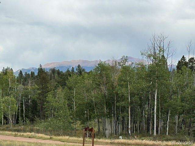1.25 Acres of Residential Land for Sale in Florissant, Colorado