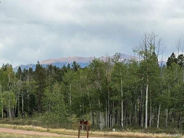 1.25 Acres of Residential Land for Sale in Florissant, Colorado