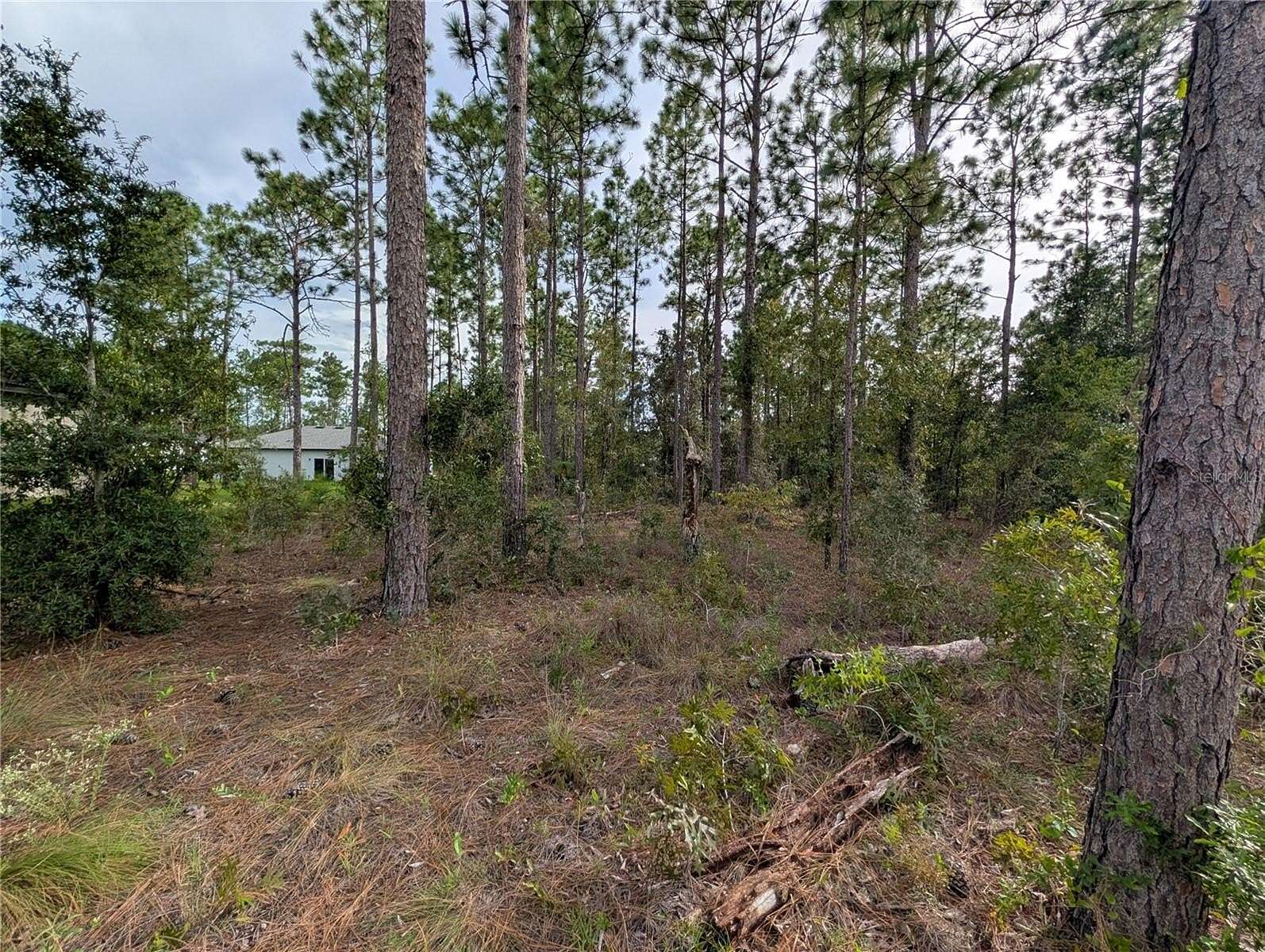 0.23 Acres of Residential Land for Sale in Citrus Springs, Florida