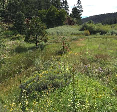 35 Acres of Land for Sale in Weston, Colorado