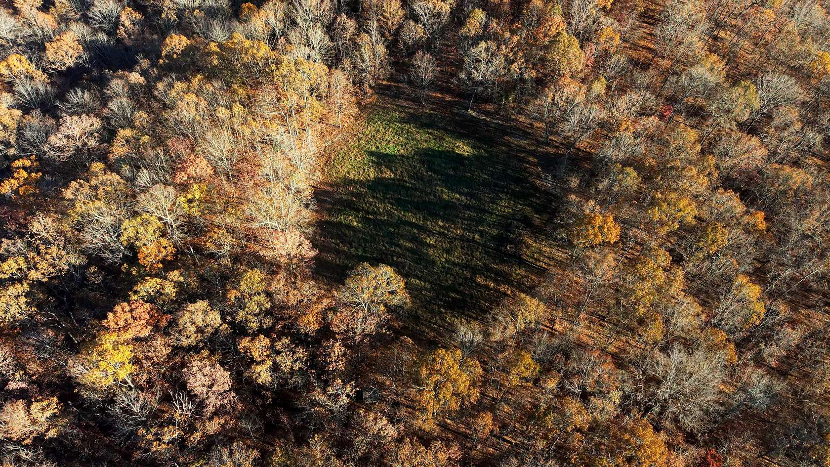48.8 Acres of Recreational Land for Sale in Thayer, Missouri