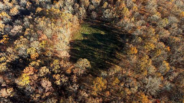 48.8 Acres of Recreational Land for Sale in Thayer, Missouri
