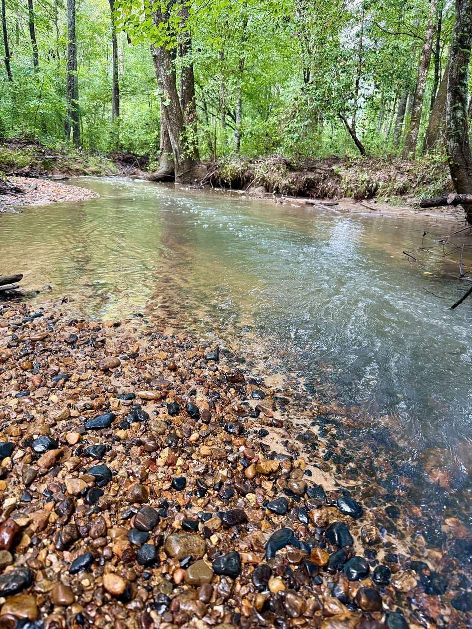 115 Acres of Recreational Land for Sale in Detroit, Alabama