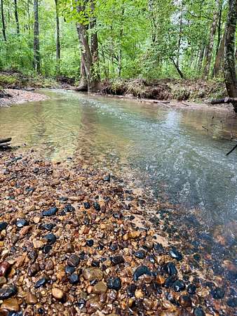 115 Acres of Recreational Land for Sale in Detroit, Alabama