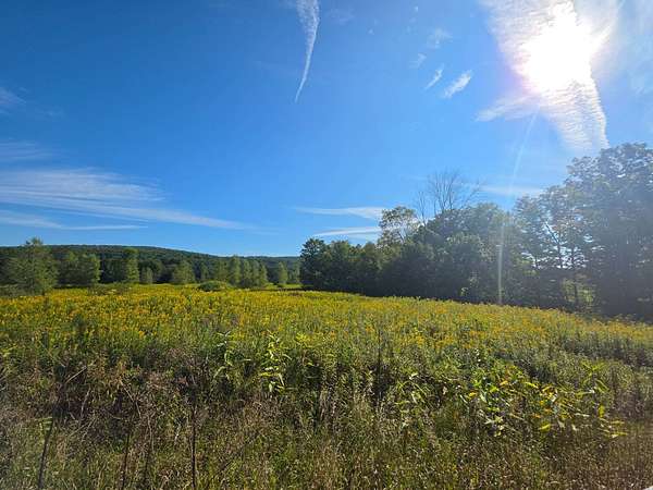 7 Acres of Land for Sale in Afton, New York