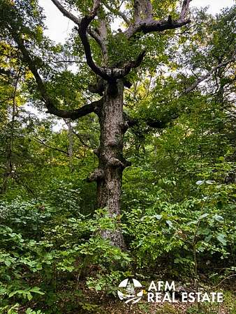 211 Acres of Recreational Land for Sale in Winona Township, Arkansas