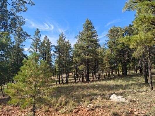 0.9 Acres of Residential Land for Sale in Happy Jack, Arizona