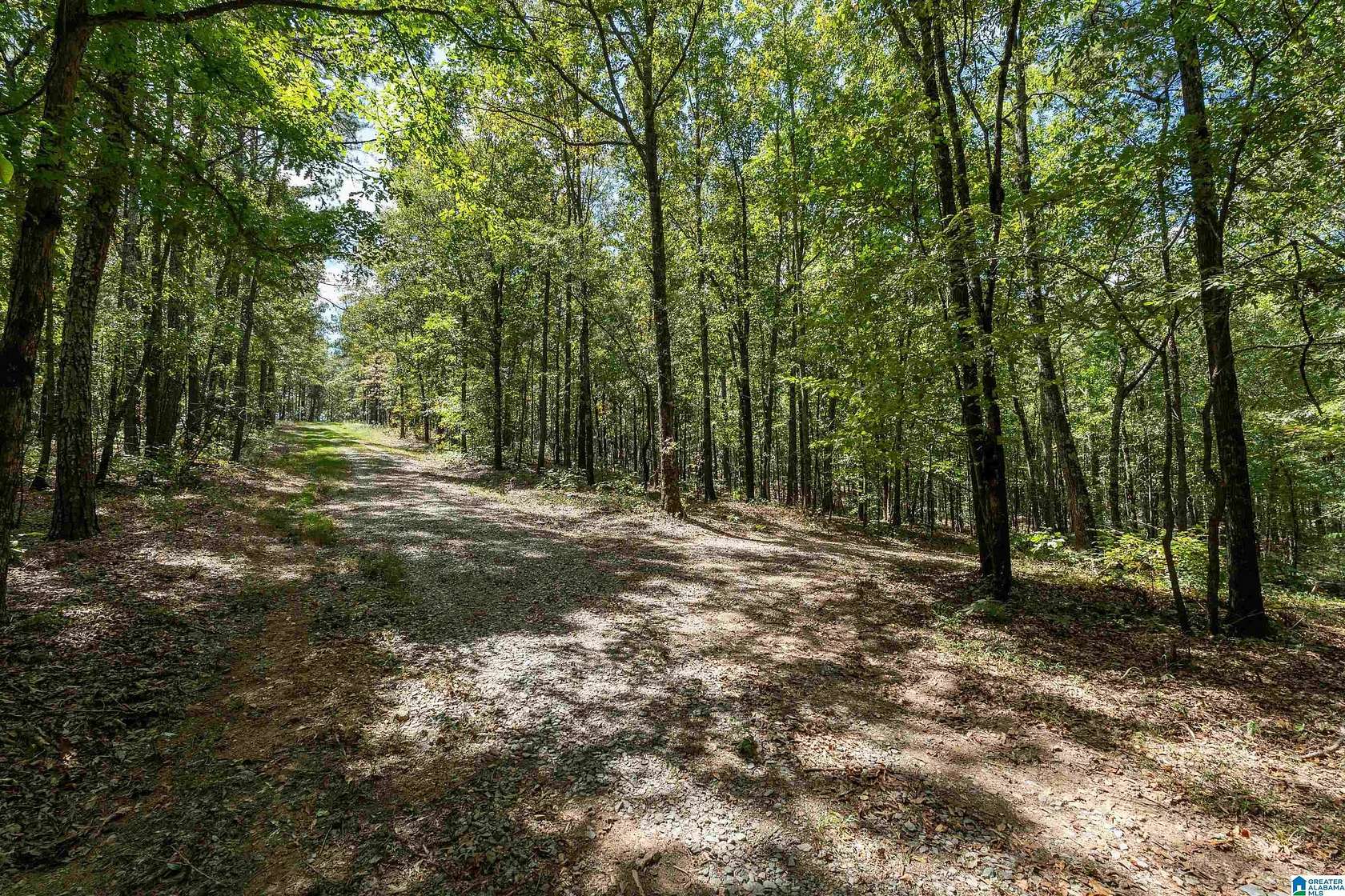 26 Acres of Land for Sale in Harpersville, Alabama