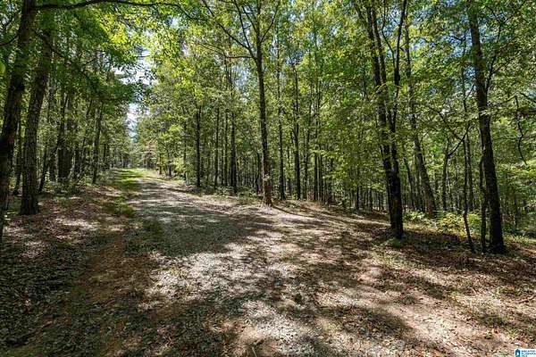 26 Acres of Land for Sale in Harpersville, Alabama