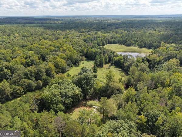 64.9 Acres of Recreational & Residential Land for Sale in Sparta, Georgia